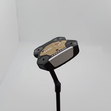 TRTL　CH　STROKE　LAB 34