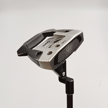 SPIDER　GTX　デューンシルバー　TM1　トラスヒール 34