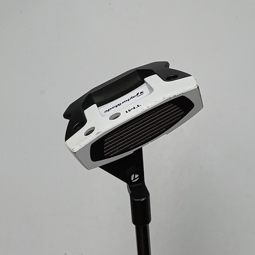 SPIDER　GTX　デューンシルバー　TM1　トラスヒール 34