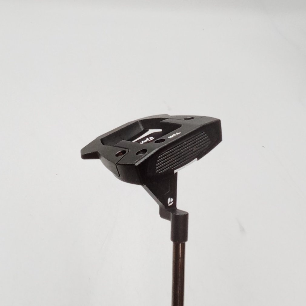 SPIDER GTX ブラック TM1 トラスヒール 33｜Alpen Online 公式