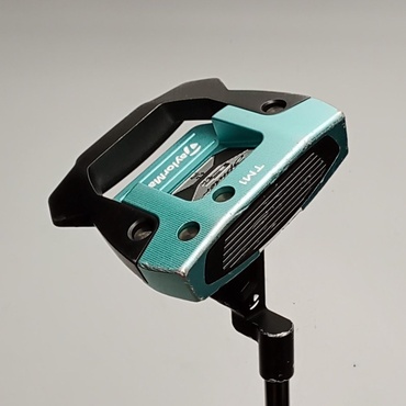 SPIDER　GTX　アイスブルー　TM1　トラスヒール 33