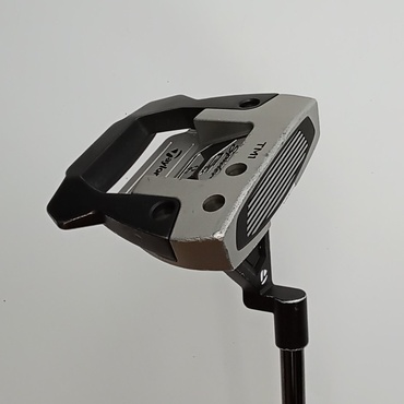 SPIDER　GTX　デューンシルバー　TM1　トラスヒール 34