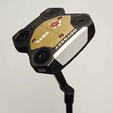 TRTL　CH　STROKE　LAB 34