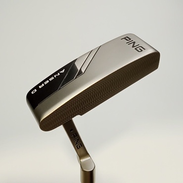 ANSER　D　(2024) 34