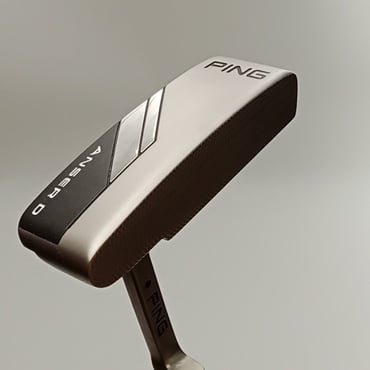 ANSER　D　(2024) 34