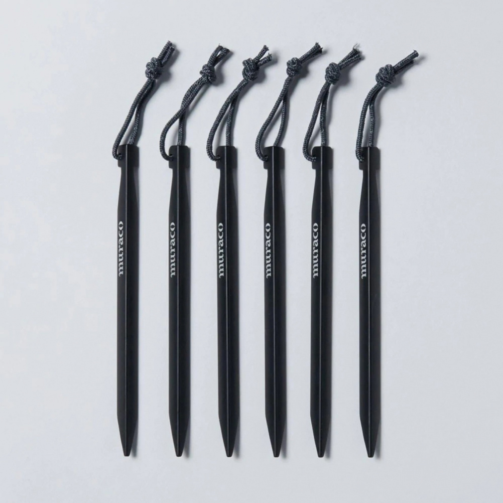 V-Shaped PEGS 6本セット(--FREE)