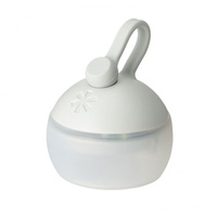 RBたねほおずき あさもや