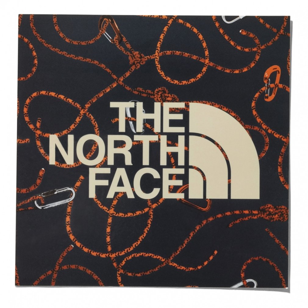 UEm[XEtFCX TNF Print Sticker [v NN31710 RP Lv  XebJ[ V[ THE NORTH FACE