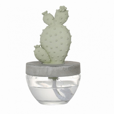 CACTUS FRAGRANCE DIFFUSER A E.PEONY