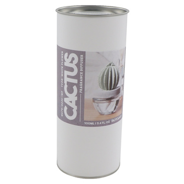 CACTUS FRAGRANCE DIFFUSER C W.FLOWER
