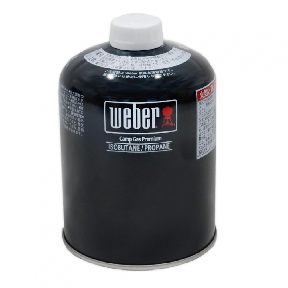 EF[o[ LvKX v~A 3400294 Lv R KX Weber