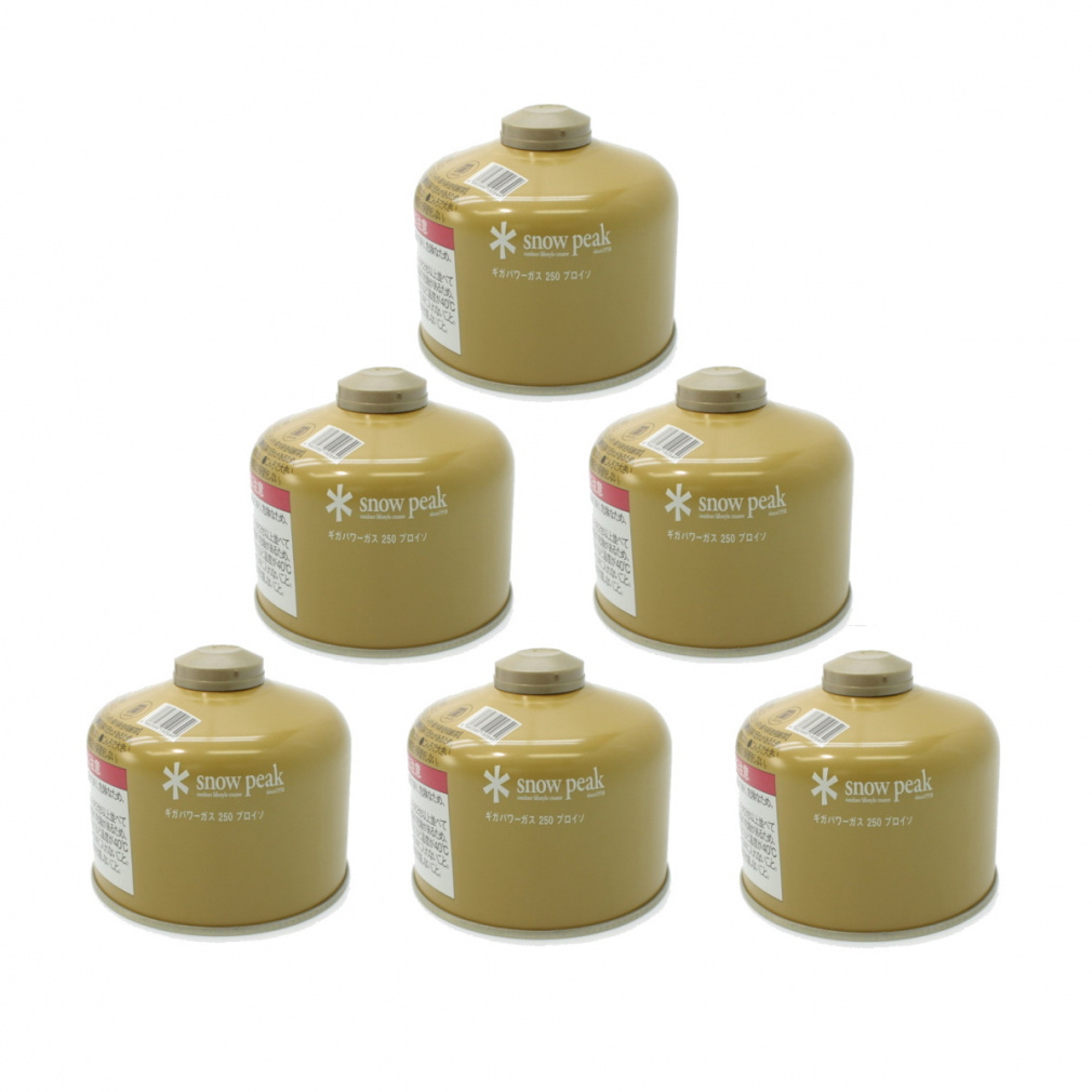 ギガパワーガス250プロイソ 6本セット