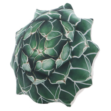 デザートプラントクッション C