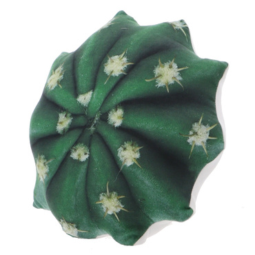 デザートプラントクッション D