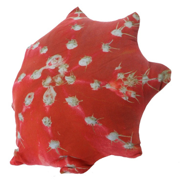 デザートプラントクッション E