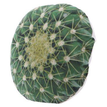 デザートプラントクッション F