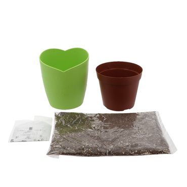 きっとみつかる四葉のクローバー栽培セット