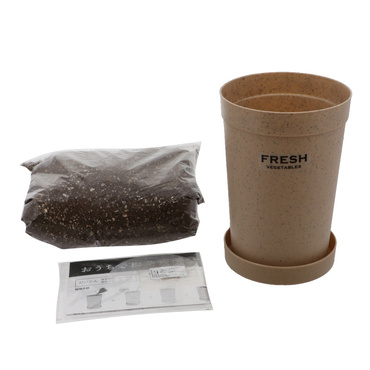 おうちで根菜栽培セット にんじん