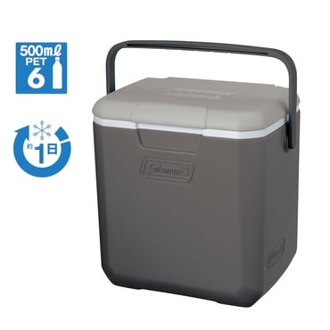 【アルペン限定】 テイク9(ライトグレー)