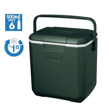 【アルペン限定】 テイク9(グリーン)