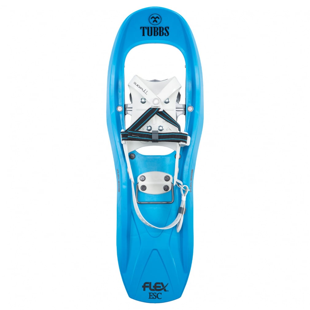 FLEX ESC 24 : CYAN/BLACK(--FREE)