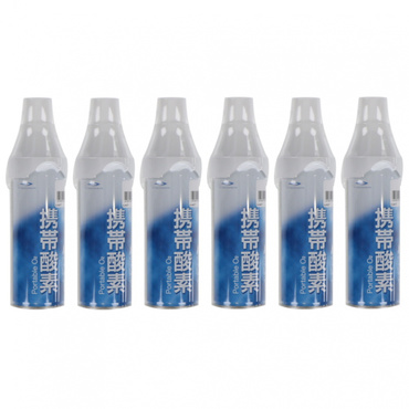 携帯酸素 6本セット