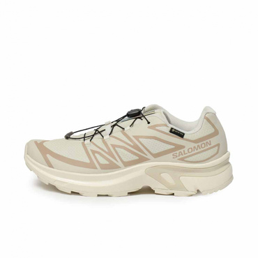 エックスティー ゴアテックス イーブイアール XT-EVR GTX(--25.0cm)