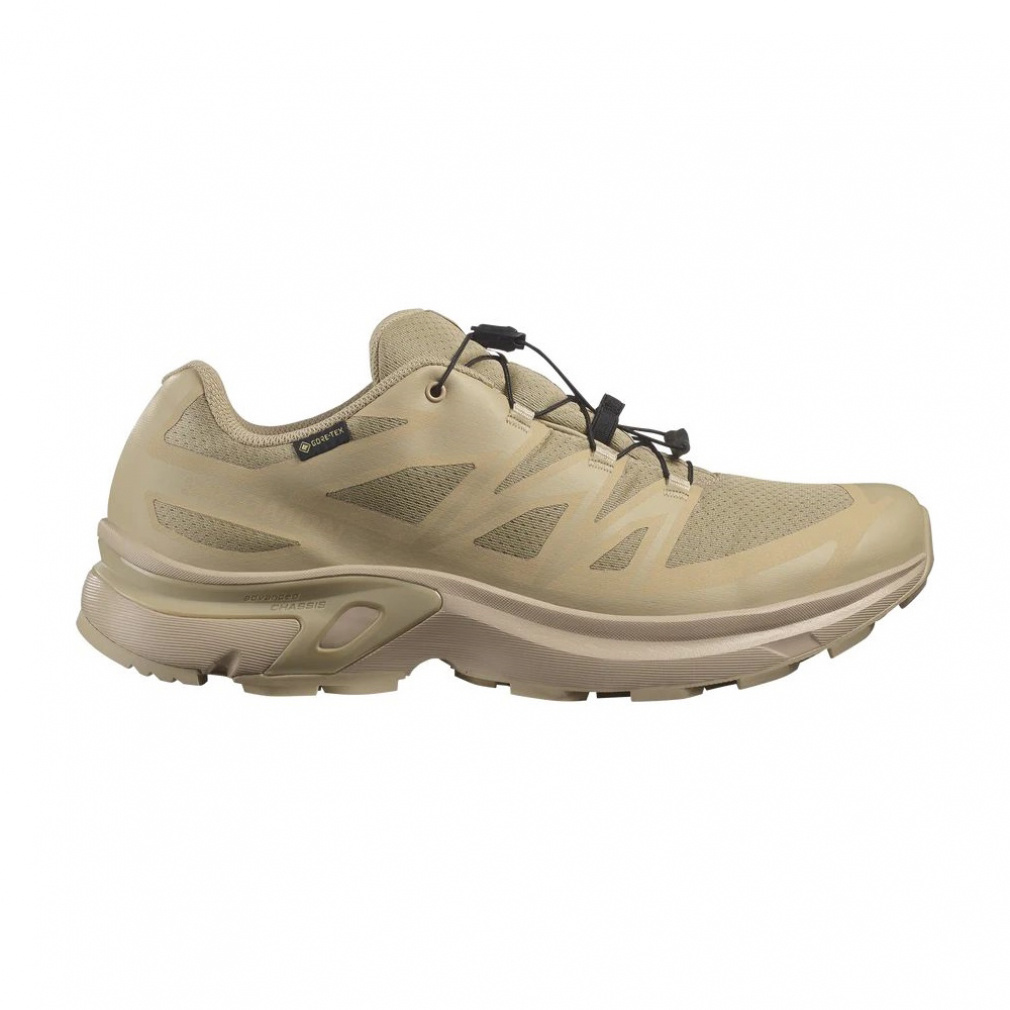 2025秋冬 サロモン エックスティー ゴアテックス イーブイアール