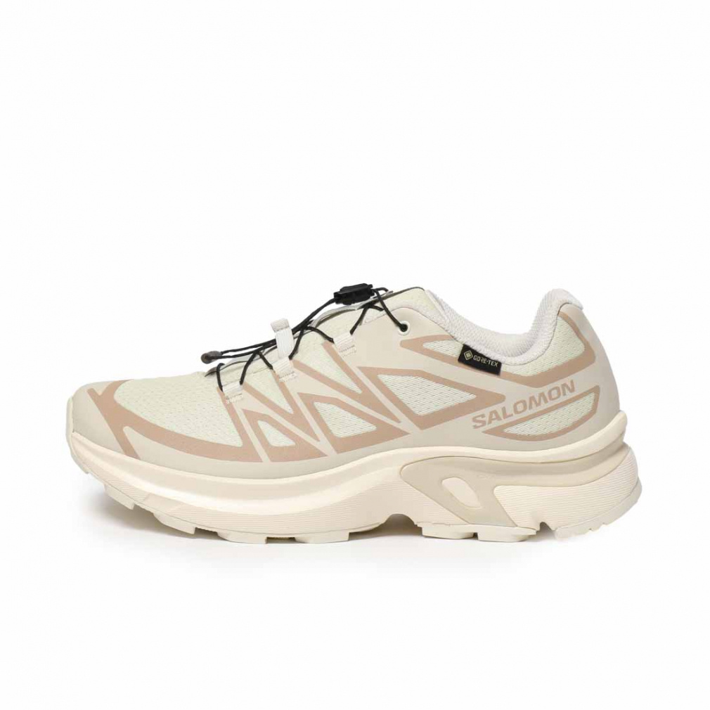 2025秋冬 サロモン XT-EVR GTX L47803500 レディース トレッキング