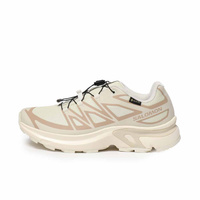 2025秋冬 サロモン XT-EVR GTX L47803500 レディース トレッキング