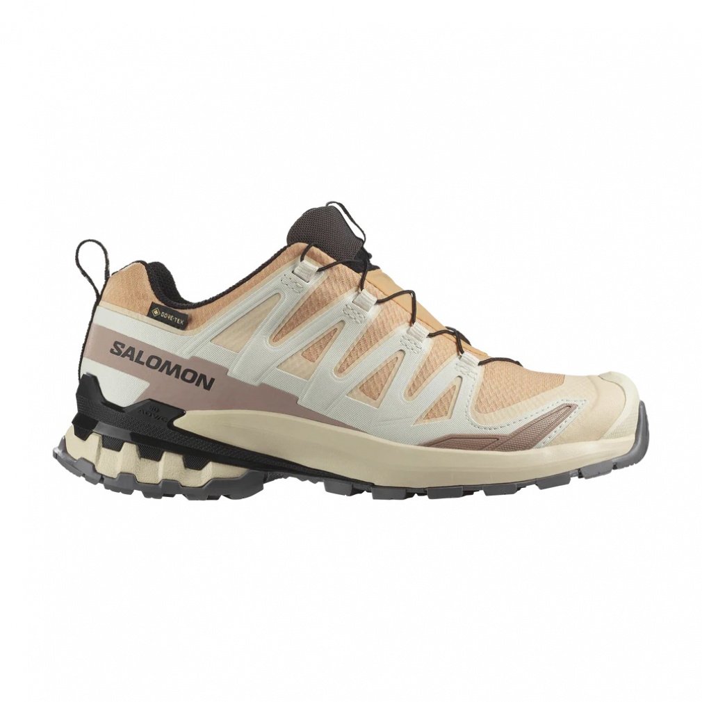 2025春夏 サロモン XA PRO 3D V9 GTX W L47817600 レディース トレッキング シューズ : Hazelnut/Tender Peach/Black SALOMON