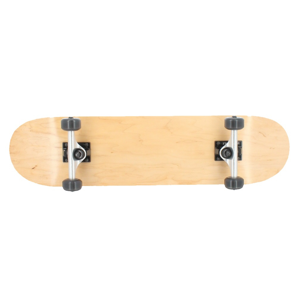 Vo[tHbNX XP[g{[hRv[g SB4001 GNXg[X|[c {[h/XP[g : i` Silver Fox 2303_mo