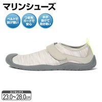 カジュアルマリン24 BE