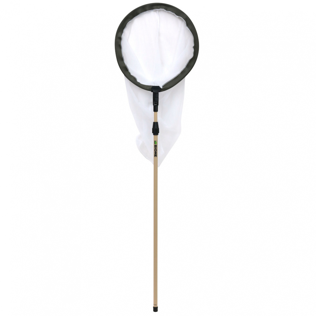 �������̒������̖� 000007890 ���W���[�p�i ���� ������