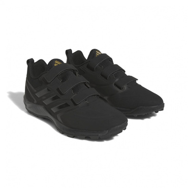 Japan Trainer AC