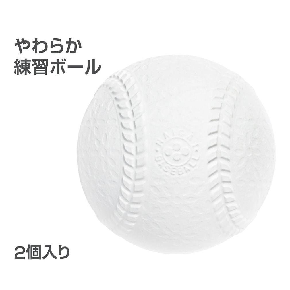 素手でもキャッチできるレジャーボール(-)