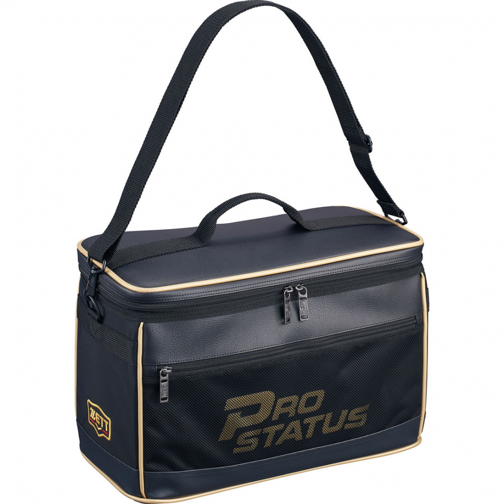 ゼット プロステイタス グローブケース2ヶ入れ BAP1222L 野球 バック