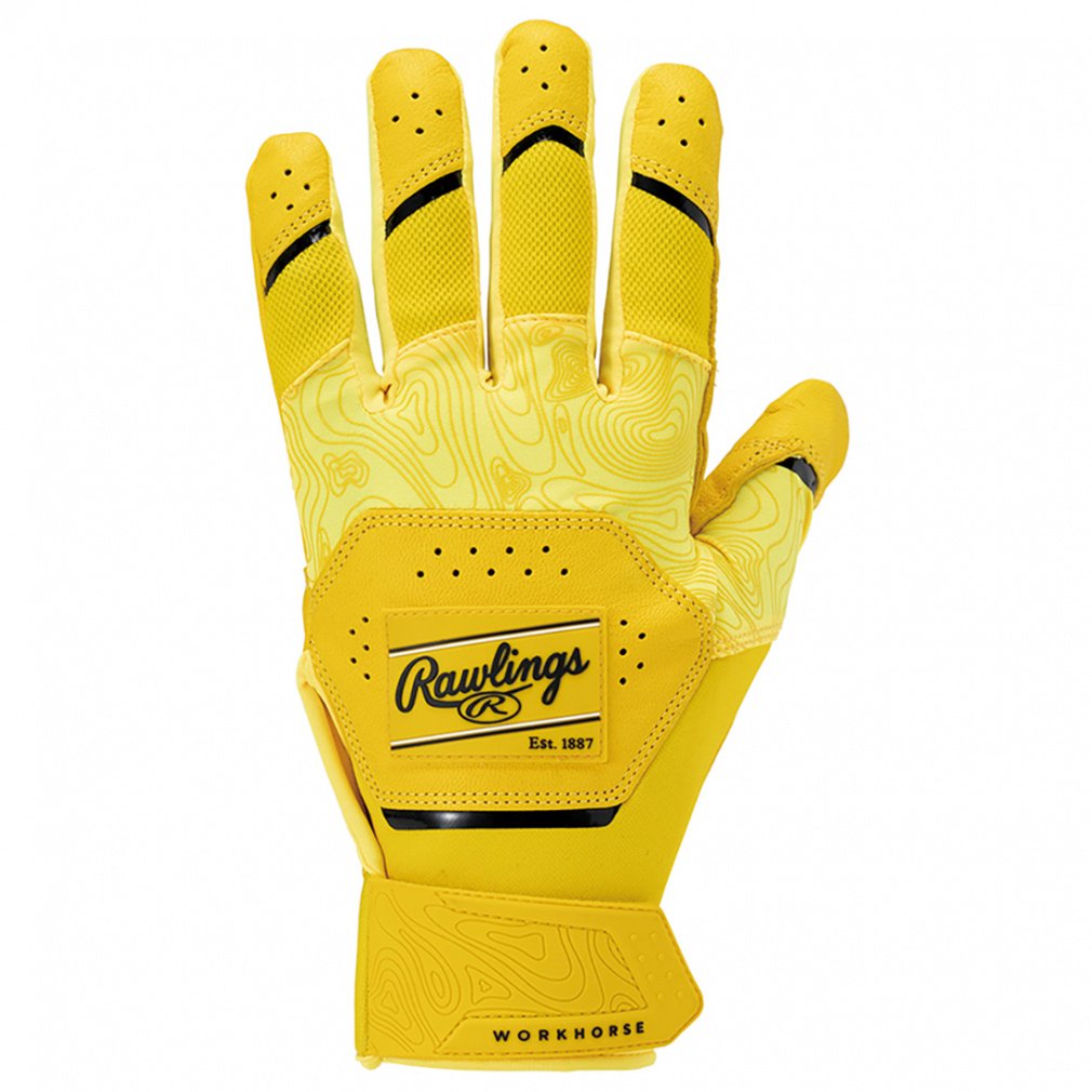 [OX Y 싅 obeBOp 2025 WORKHORSE obeBOO[u Rawlings