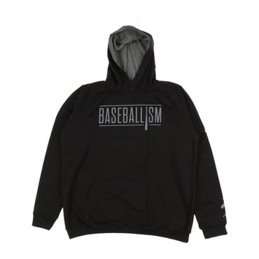 ベースボールイズム