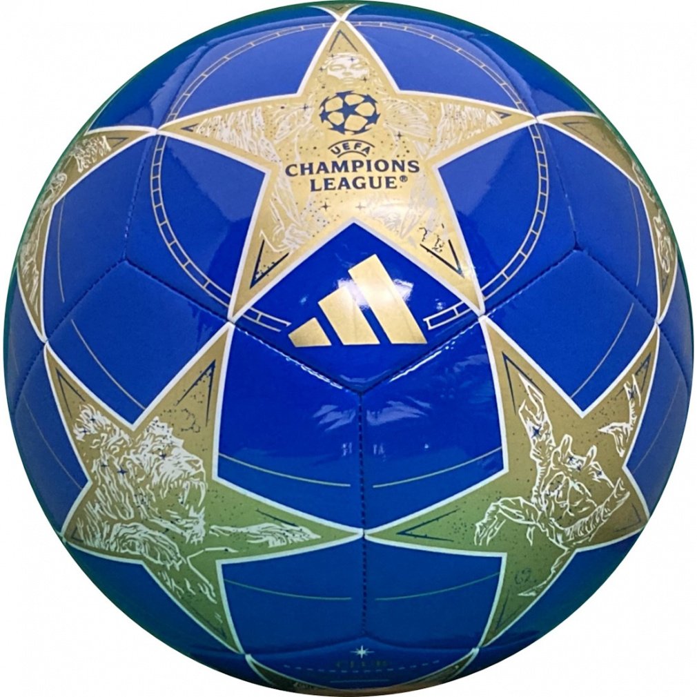 サッカーぼーる 天然木の立体パズルのように組み上げるサッカーボール型