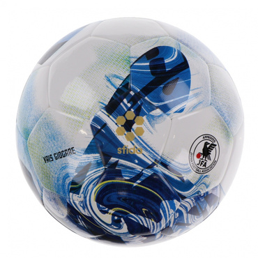 VAIS GIOCARE JR 4号球