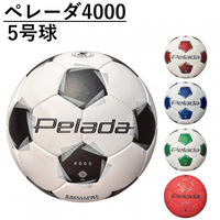 ペレーダ4000 5号球