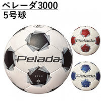 ペレーダ3000 5号球