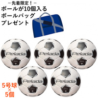 ペレーダ4000 5号球 5個セット｜Alpen Online