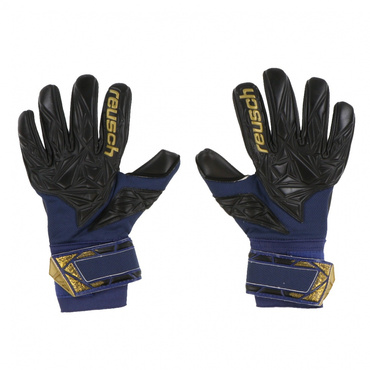 アトラクト ゴールド X NC