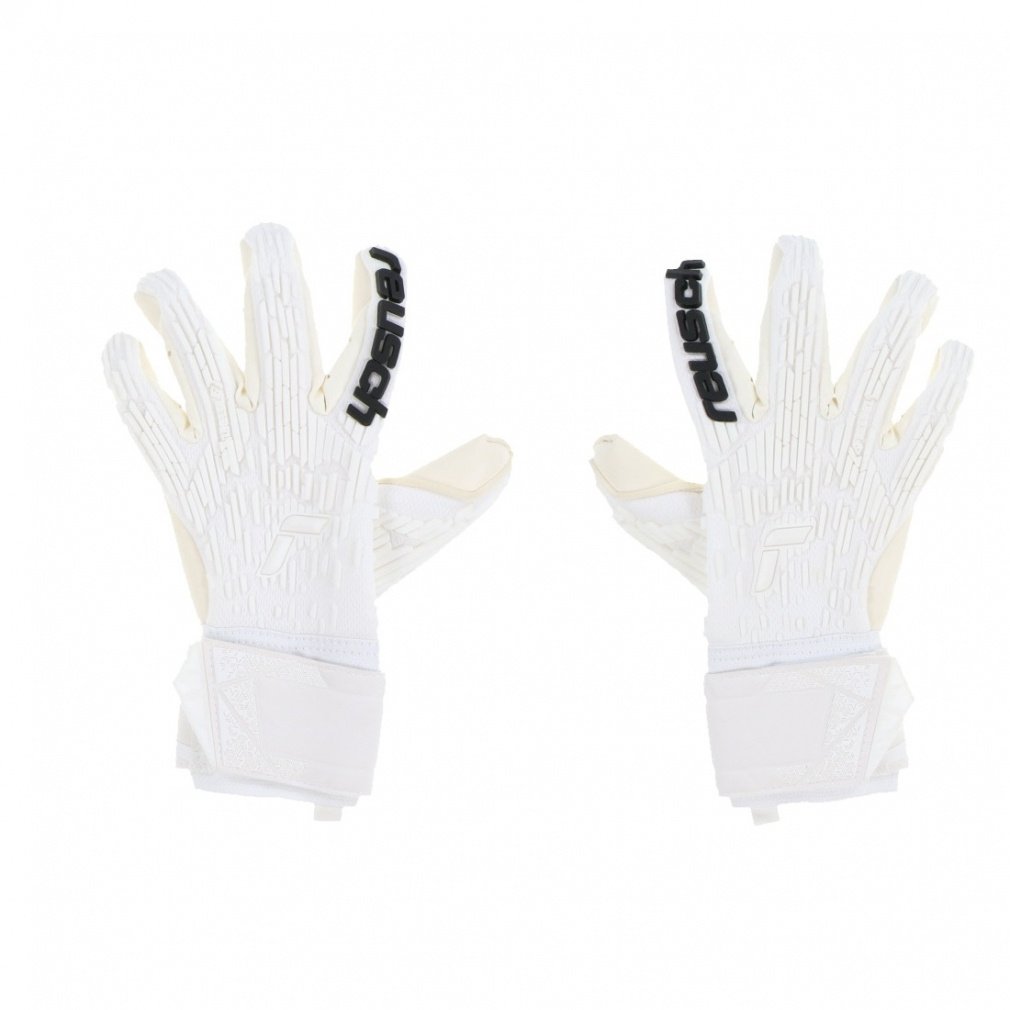 CV AgNg t[Q S[hX 5470036 TbJ[/tbgT L[p[O[u : zCg reusch