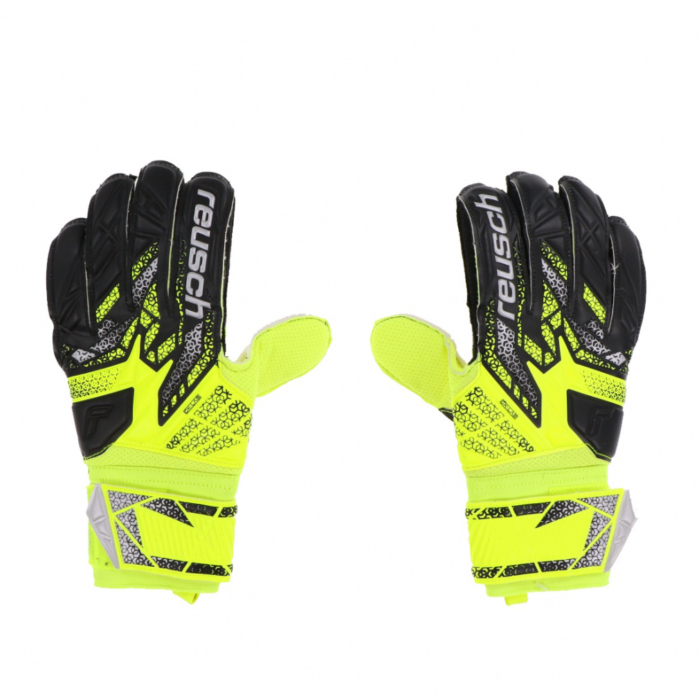 CV AgNg \bh 5560515 TbJ[/tbgT L[p[O[u : CG[ reusch