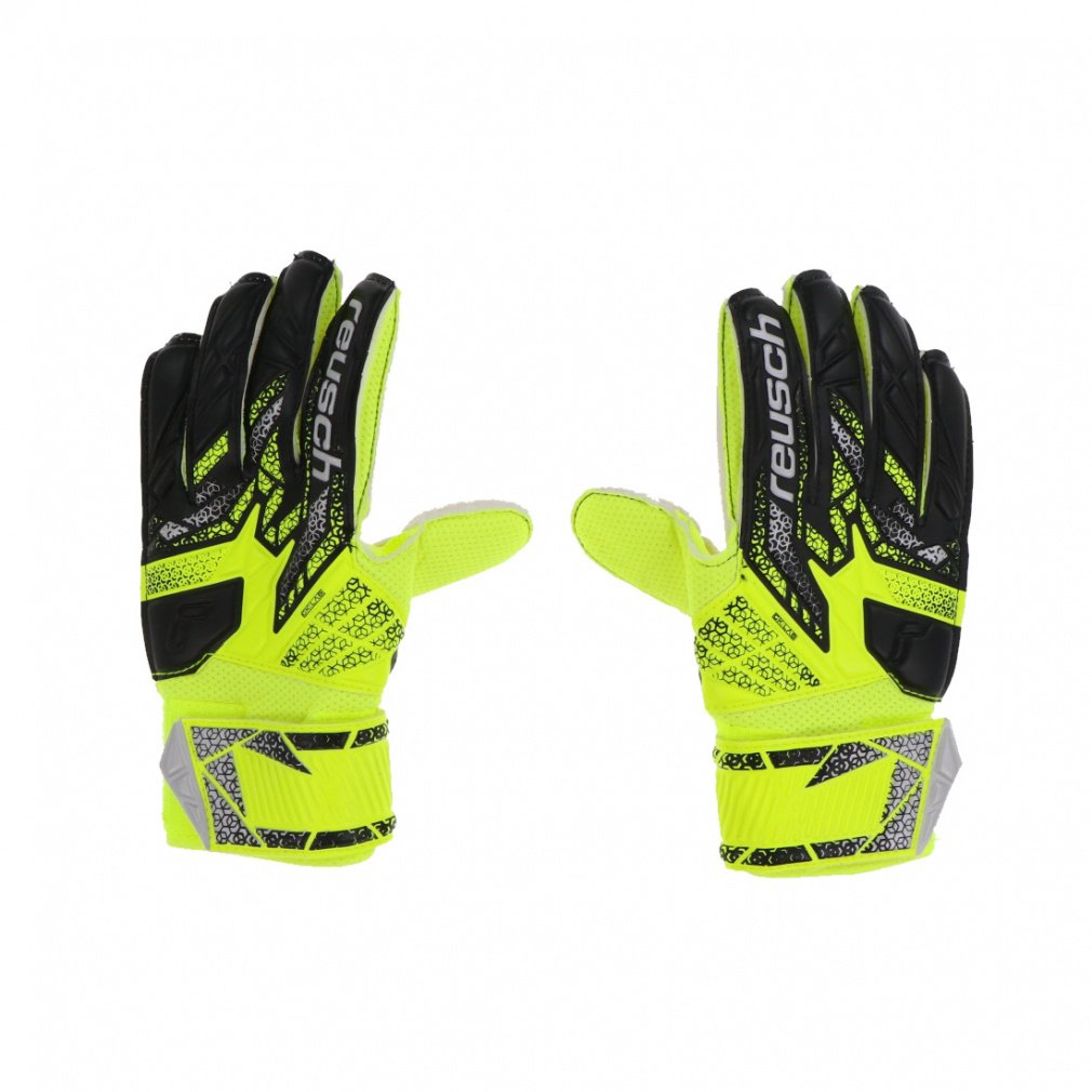 CV AgNg \bh WjA 5562515 WjA(LbYEq) TbJ[/tbgT L[p[O[u : CG[ reusch