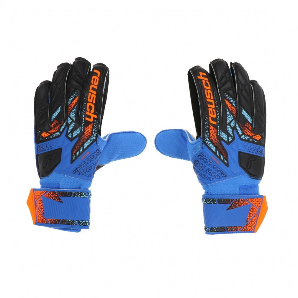 CV AgNg \bh 5562515 WjA(LbYEq) TbJ[/tbgT L[p[O[u : u[ reusch