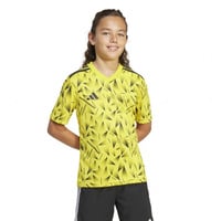 チーム アイコン 25 ジャージー キッズ